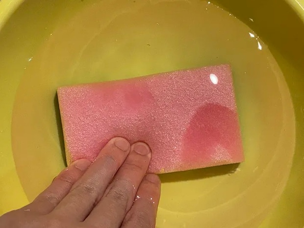 スポンジに水を含ませる場面（撮影：grapeライフハック編集部）