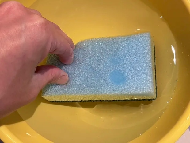 スポンジに水を含ませる場面（撮影：grapeライフハック編集部）