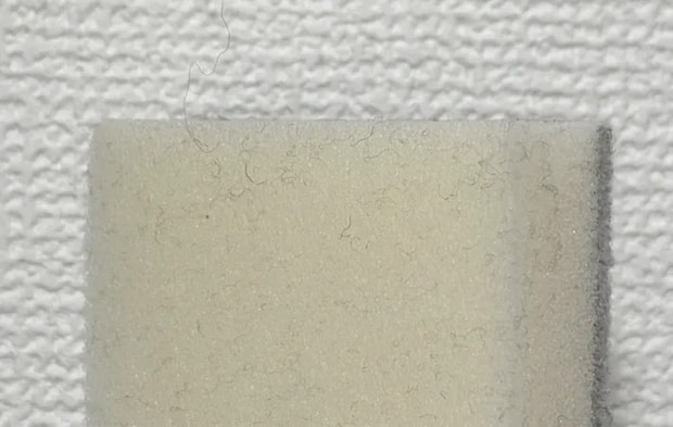 スポンジでほこりを払った後の写真（撮影：grapeライフハック編集部）