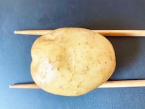 切れ目を入れて挟むと？　ジャガイモの簡単レシピに「皮までペロリ！」