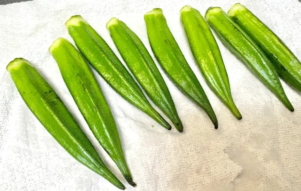 オクラに付いた水分を拭き取っている画像（撮影：エニママ）