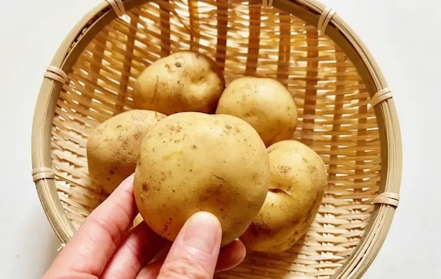 じゃがいもの画像（撮影：エニママ）