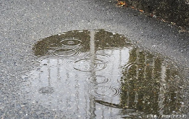 水たまりの写真