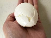 ゆで卵の殻がツルッと剥ける！　コップを使った裏技に「今までの苦労は一体…」