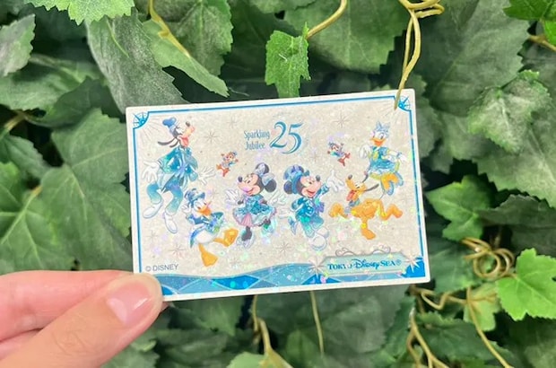 シールの写真（撮影：grapeフード編集部）