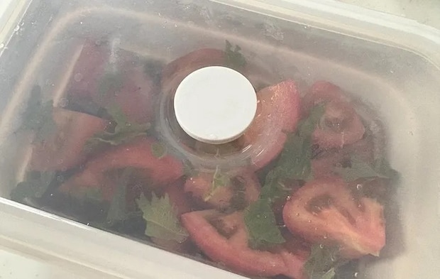 保存容器に蓋をした画像（撮影：エニママ）