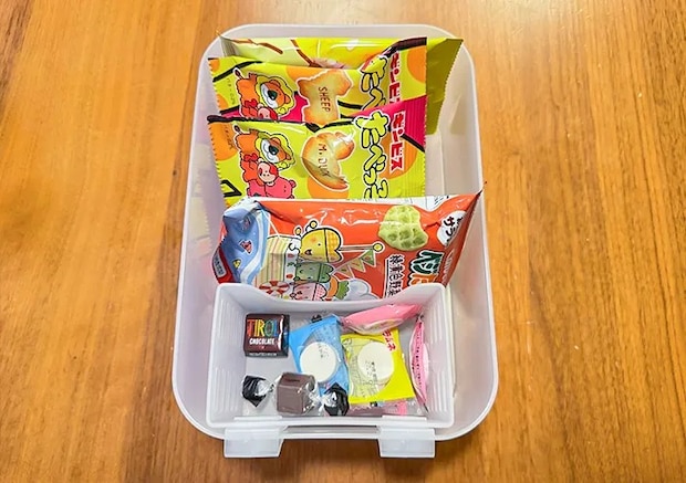 『ドアポケットすっきりケース』の活用写真（撮影：ワード）
