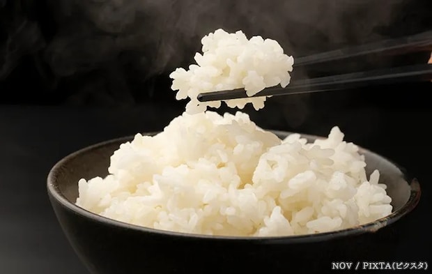 ご飯の写真