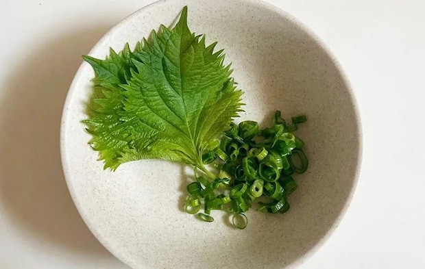 青じそ、青ネギの画像（撮影:エニママ）
