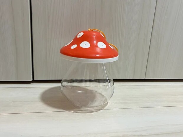 床に置かれた昆虫ケース（撮影：grapeライフハック編集部）