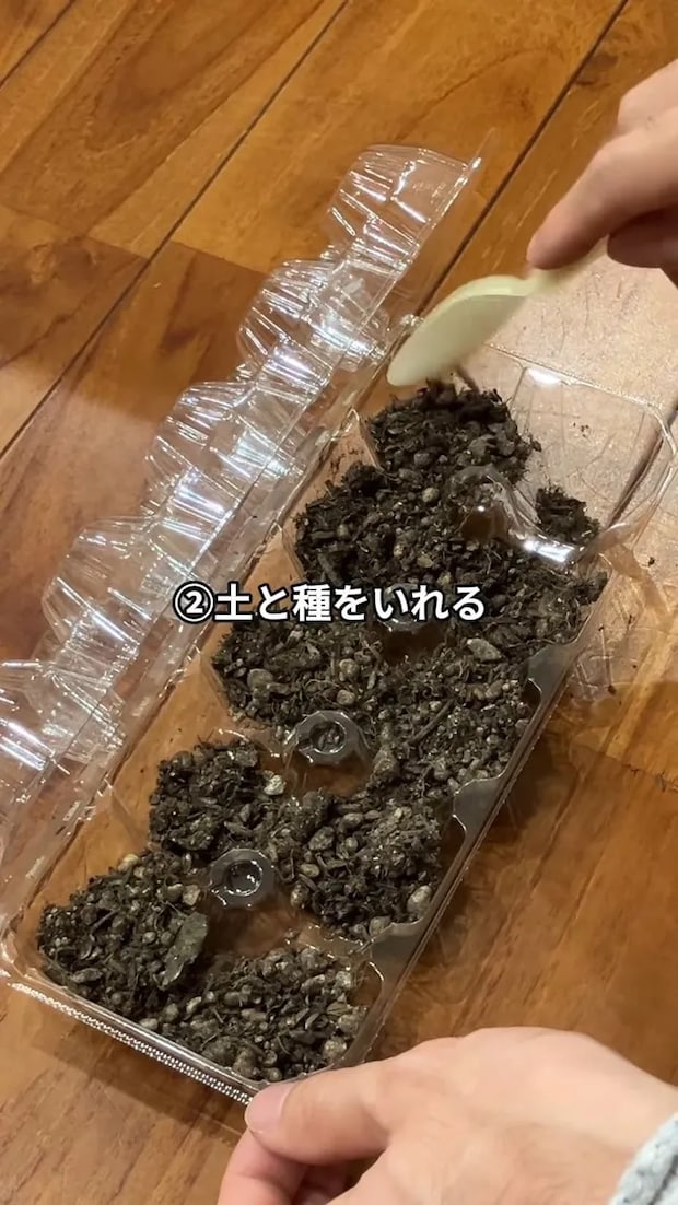 土と種を入れた卵パック