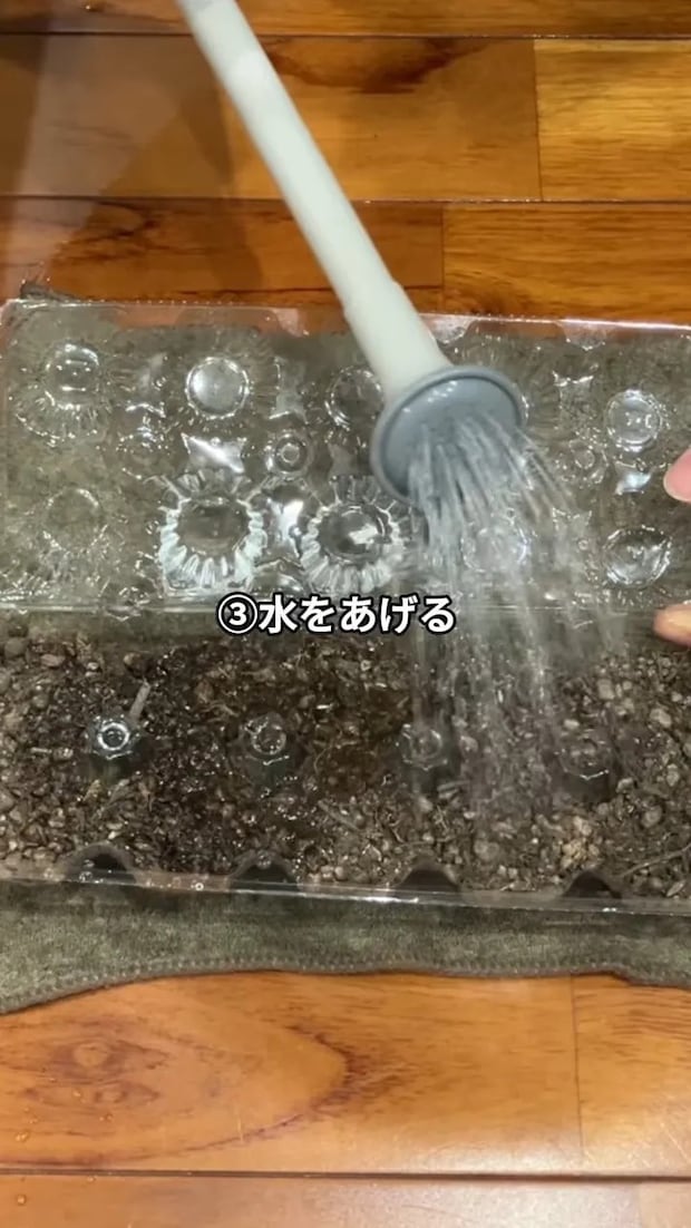 卵パックに入れた種に水をやる場面