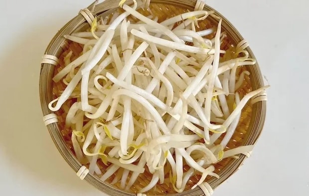 モヤシのひげ根を取る前の画像（撮影：エニママ）