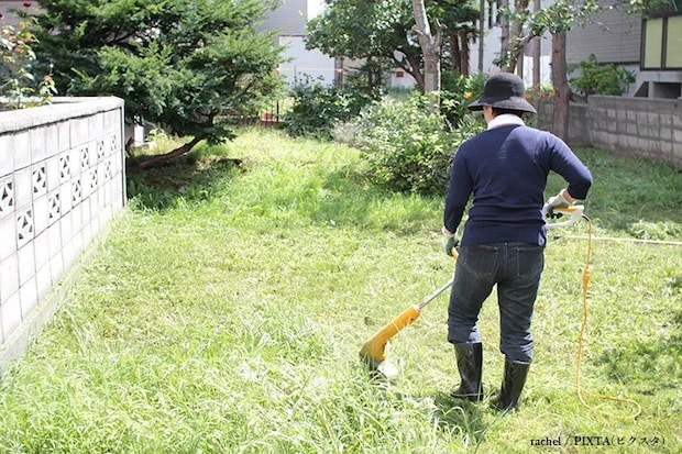 雑草を刈る女性