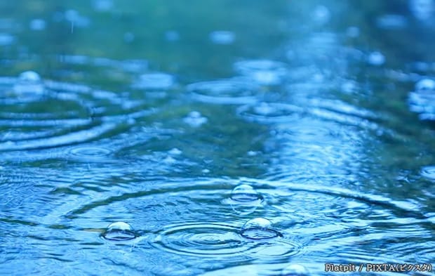 雨の写真
