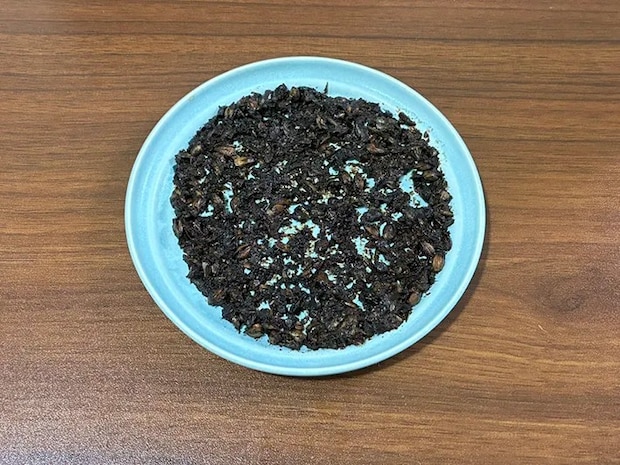電子レンジで温めて乾燥させた茶殻（撮影：grapeライフハック編集部）
