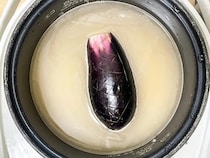 炊飯器にナスを丸ごとドボン　炊きあがりに「病みつきになる」「おにぎりにもいい」