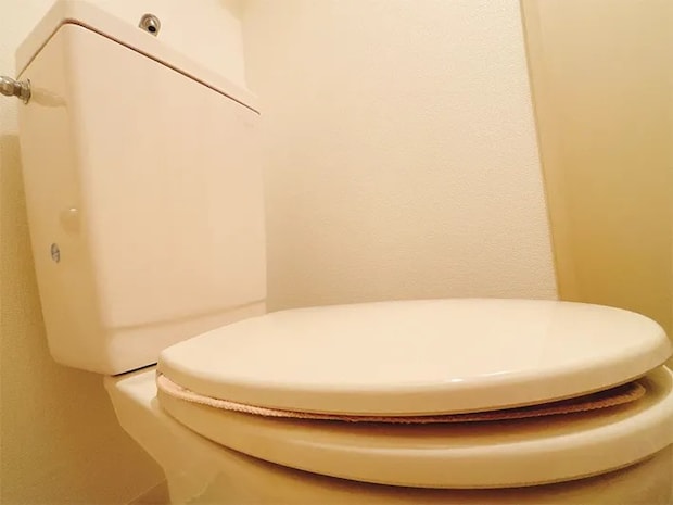 トイレの蓋の写真（撮影：grapeライフハック編集部）