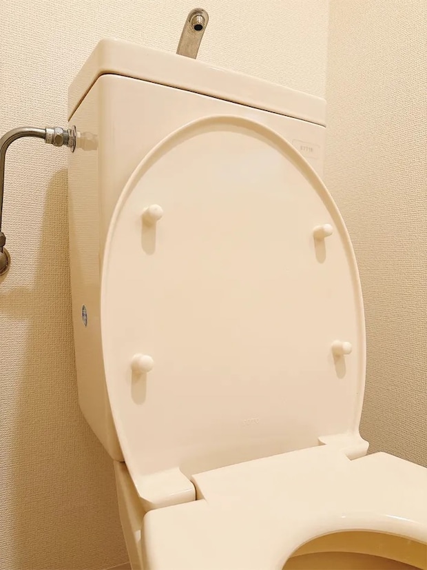 トイレの蓋の写真（撮影：grapeライフハック編集部）