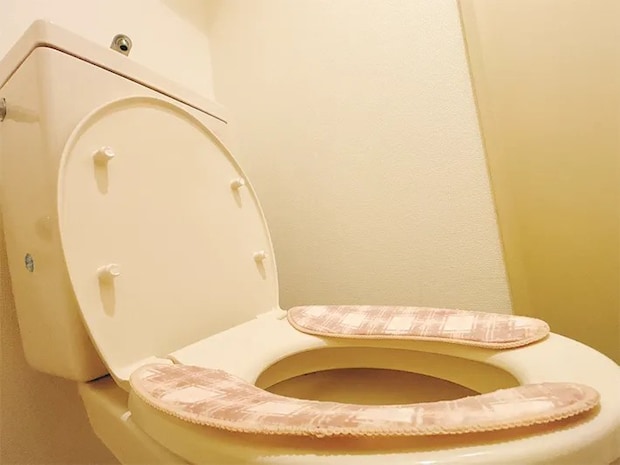 トイレの蓋の写真（撮影：grapeライフハック編集部）