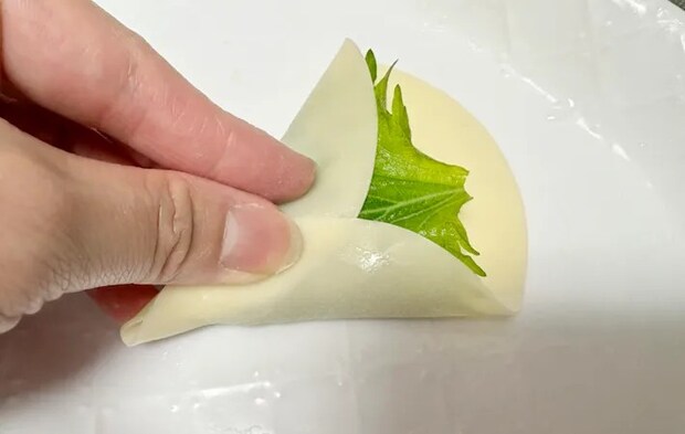 餃子の皮を折り畳んでいる画像（撮影：エニママ）