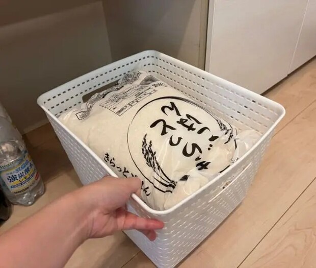 荷物を収納している様子（撮影：grapeライフハック編集部）