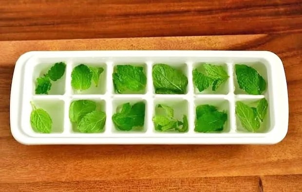 『ミント氷』を作る写真（撮影：小泉明代）