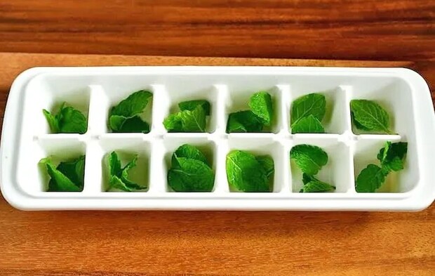 『ミント氷』を作る写真（撮影：小泉明代）