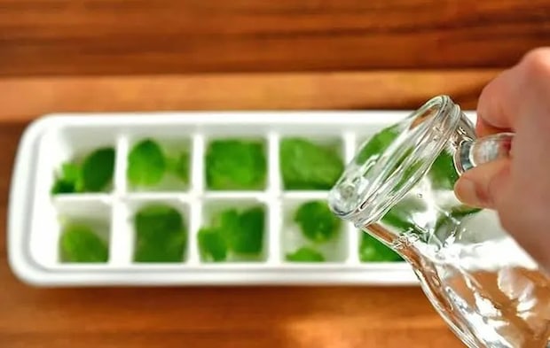 『ミント氷』を作る写真（撮影：小泉明代）