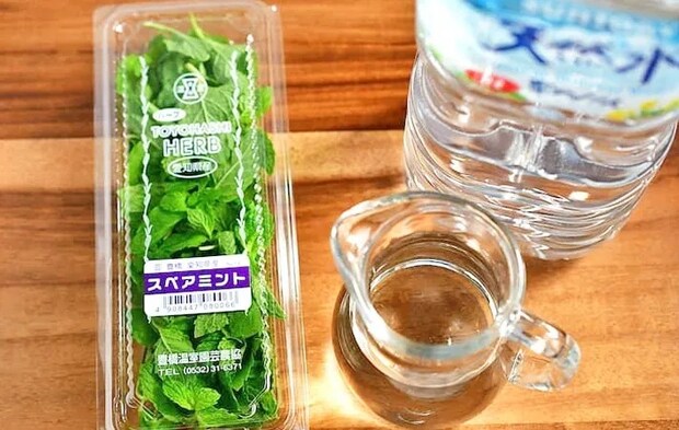『ミント氷』の材料写真（撮影：小泉明代）