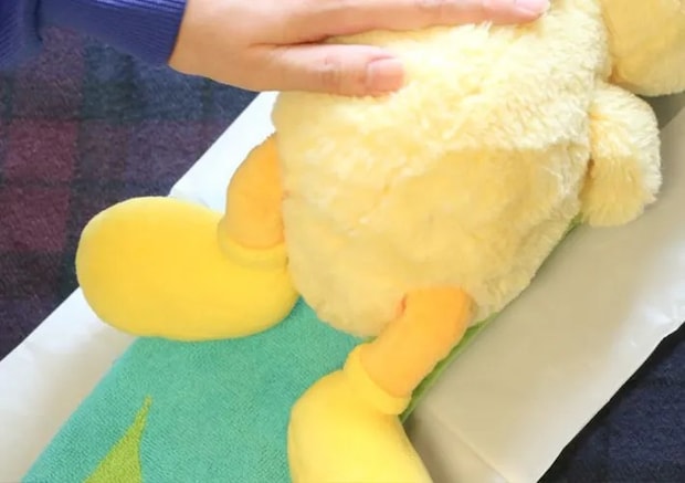 簡易おむつをつける写真