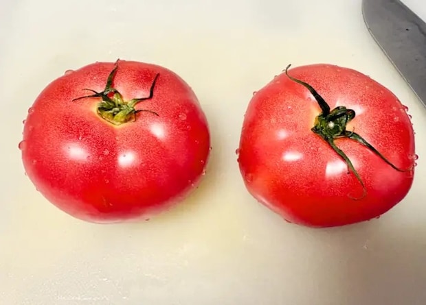 トマト2個の画像（撮影：エニママ）