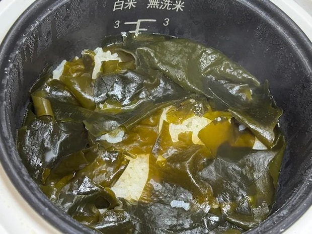 プチッと鍋のワカメご飯（撮影：grapeフード編集部）