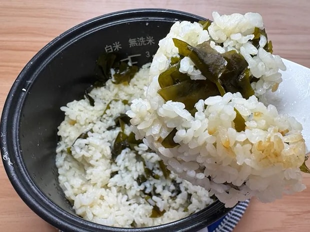 プチッと鍋のワカメご飯（撮影：grapeフード編集部）