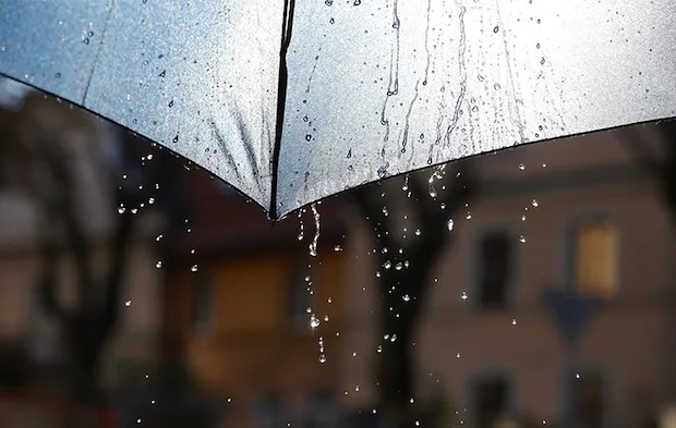 雨と傘の写真