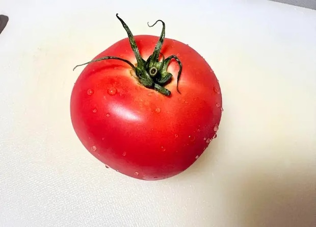 洗ったトマトの画像（撮影：エニママ）