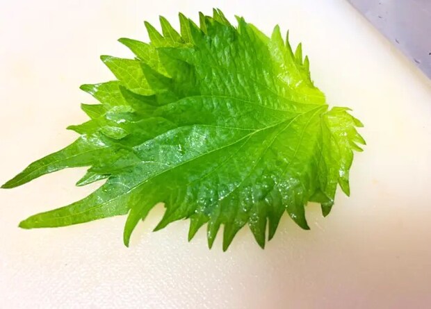 大葉の画像（撮影：エニママ）