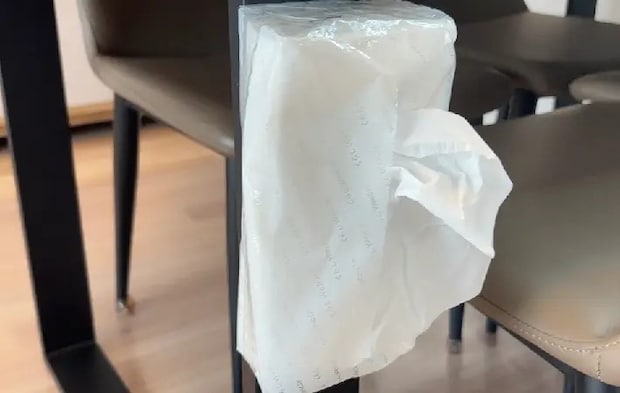 ティッシュをマグネットで貼り付けた画像（撮影：キジカク）