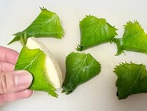 食べた夫が「また作って！」　シソと餃子の皮で包んだのは…【簡単つまみレシピ】