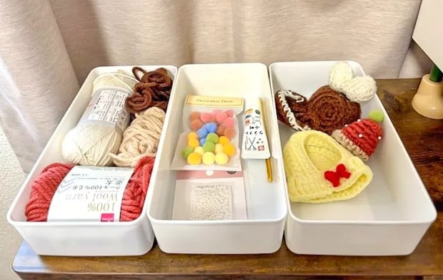 『ねんどケース』の活用写真（撮影：ワード）