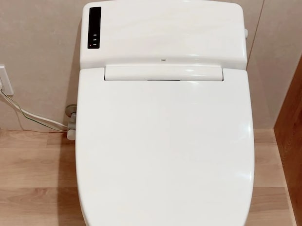 ダイソーのクエン酸クリーナー　トイレ掃除に使ってみたら「ブラシなしでもピカピカ」【100均掃除グッズ4選】