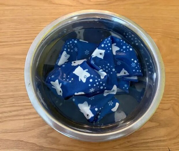 タオルを濡らした様子（撮影：grapeライフハック編集部）