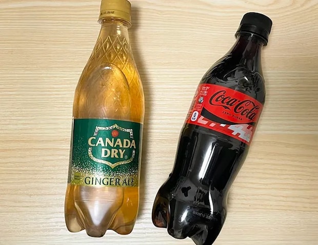 ジンジャーエールとコーラのペットボトルの写真（撮影：grapeフード編集部）