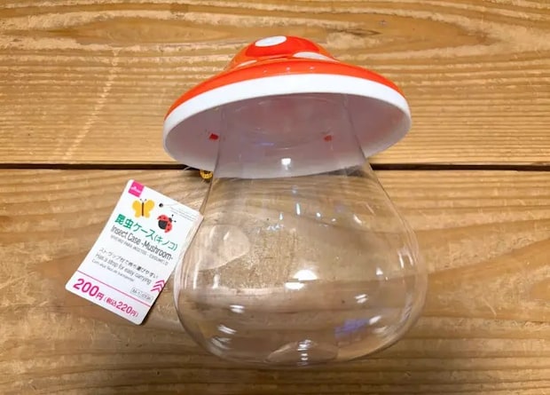 昆虫ケースタグ付きの画像（撮影：エニママ）