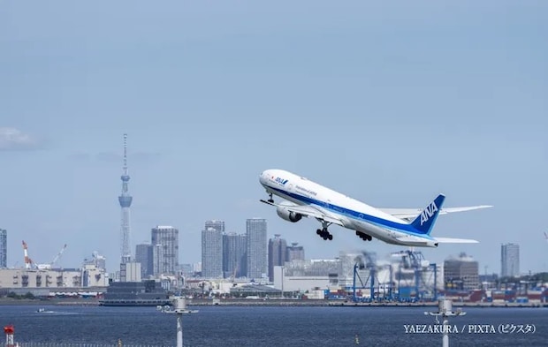 『離陸中の飛行機と東京スカイツリー』の写真