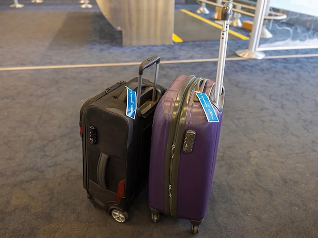 夏休みの航空券予約はいつから始める? プロが教える費用を抑えるコツ