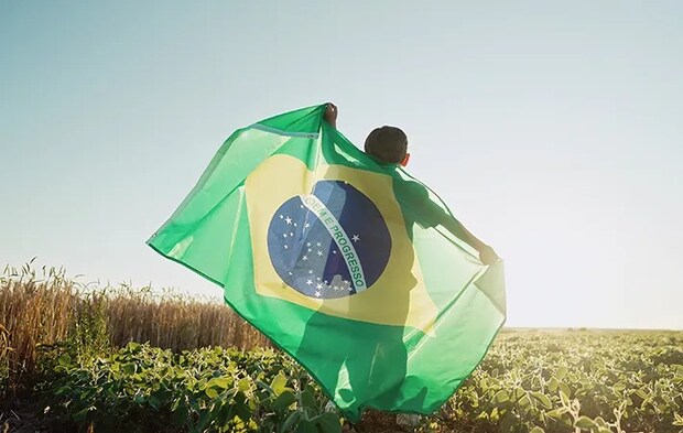 ブラジルの国旗を持つ人の写真