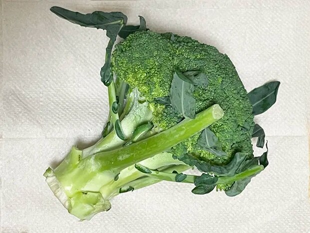 ブロッコリーの写真（撮影：grapeフード編集部）