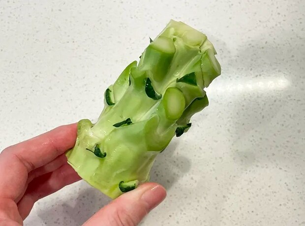 ブロッコリーの茎の写真（撮影：grapeフード編集部）