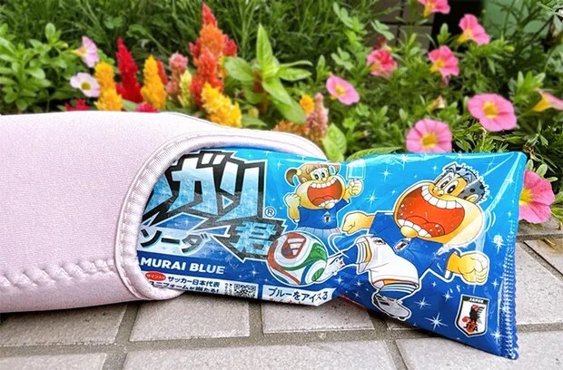 ペットボトルカバーにアイス『ガリガリ君』を入れた写真（撮影：grapeライフハック編集部）